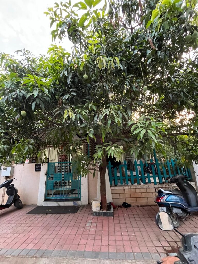 Sierra bunglow Society undri